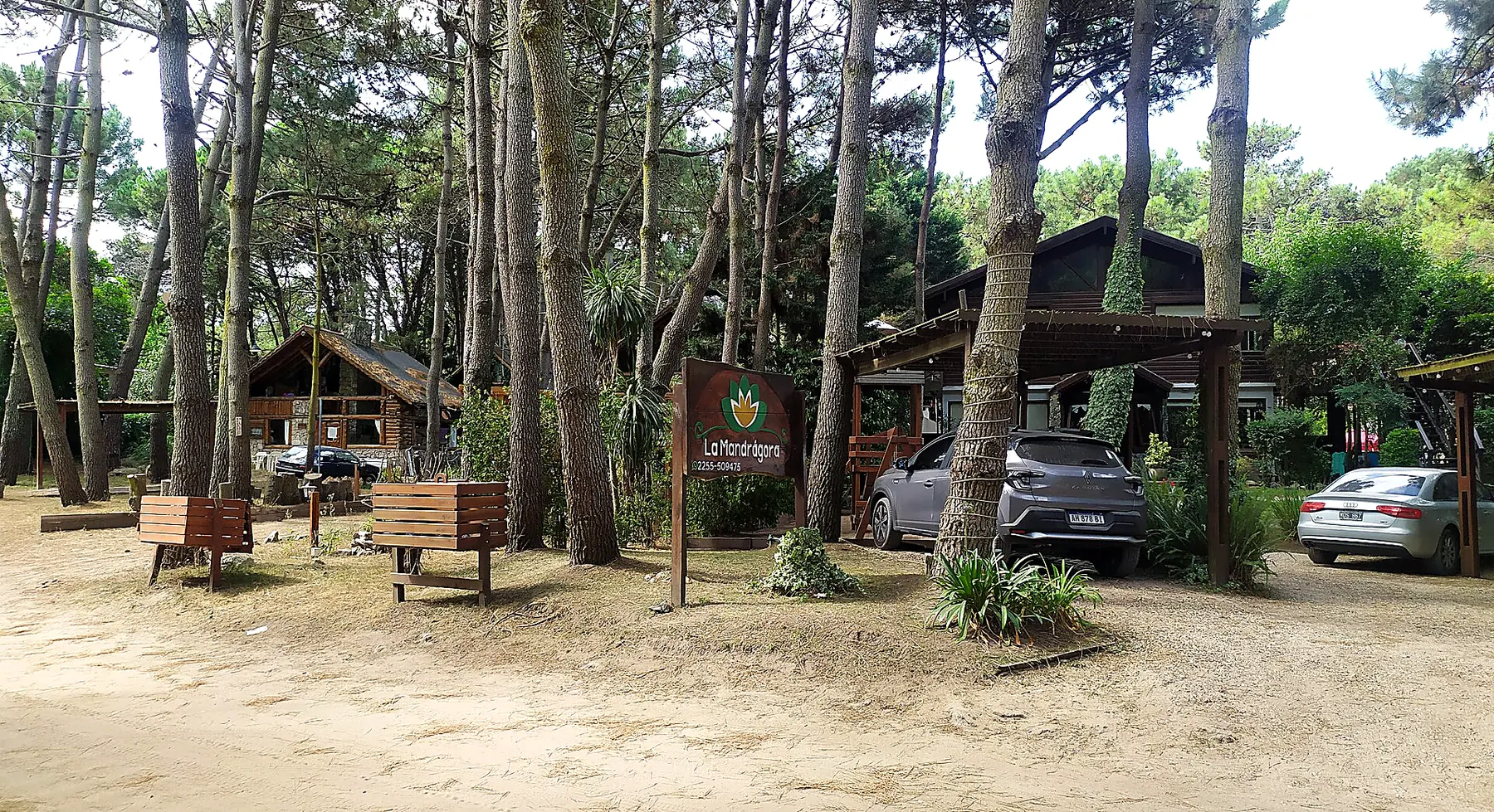 Casas de madera bajo los pinos en Mar de las Pampas